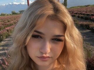 chat CloudyFox